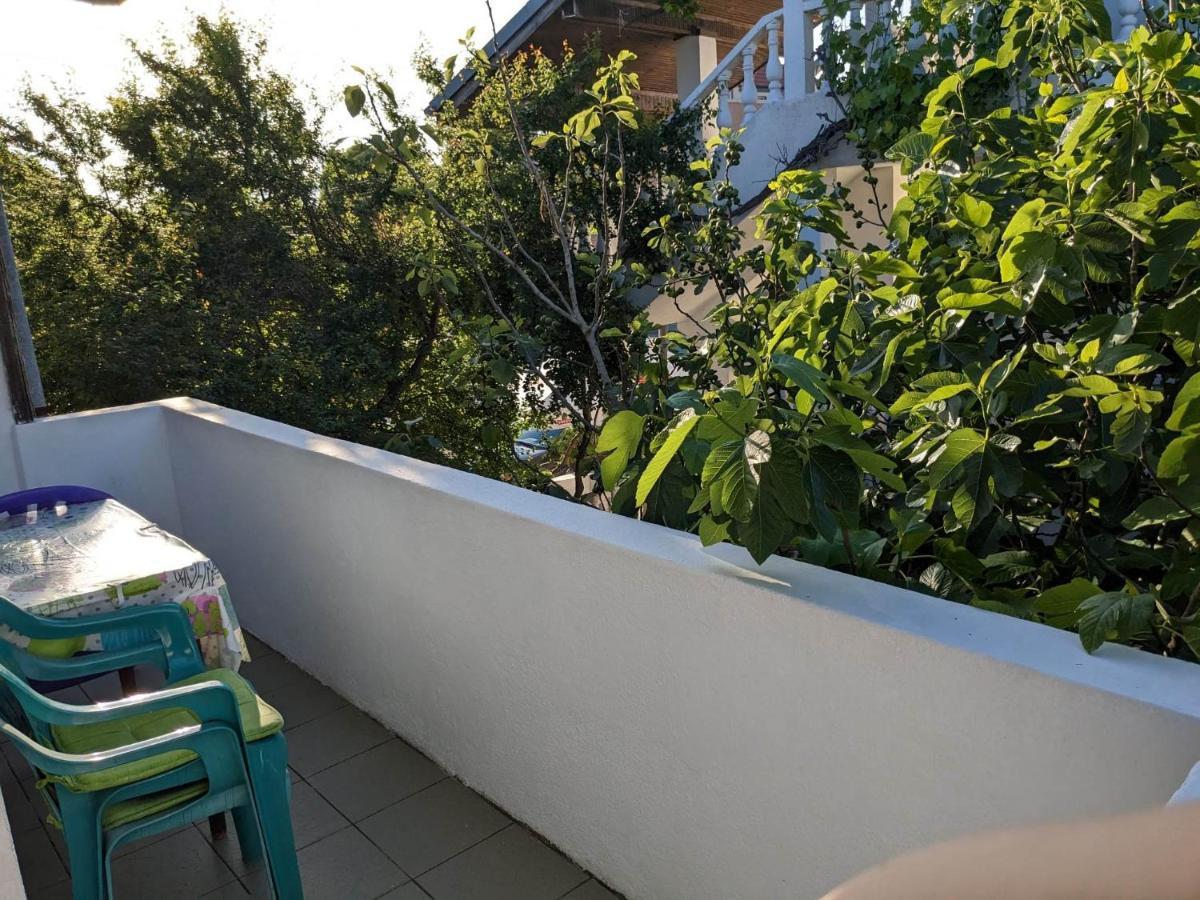 Цвета Hotell Sinemoretz Eksteriør bilde